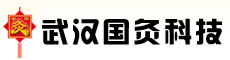 武汉国灸科技开发有限公司